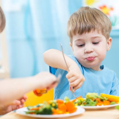 Dia Mundial do Veganismo: Entenda esse estilo de vida